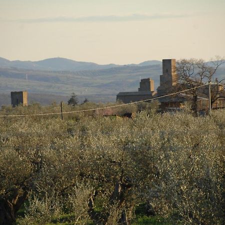 Agriturismo Sensi Tuscania Buitenkant foto