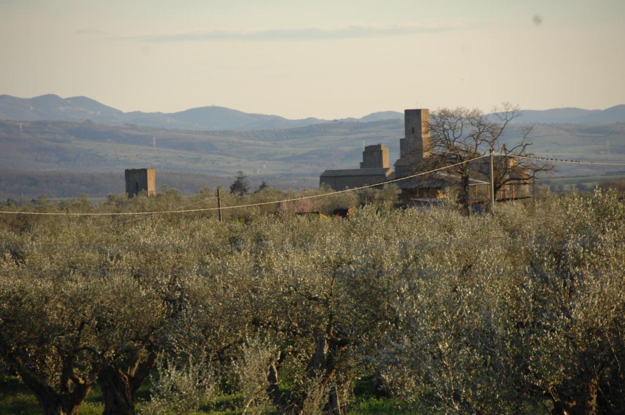 Agriturismo Sensi Tuscania Buitenkant foto